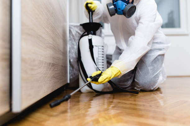  National Park, NJ Pest Control Pros