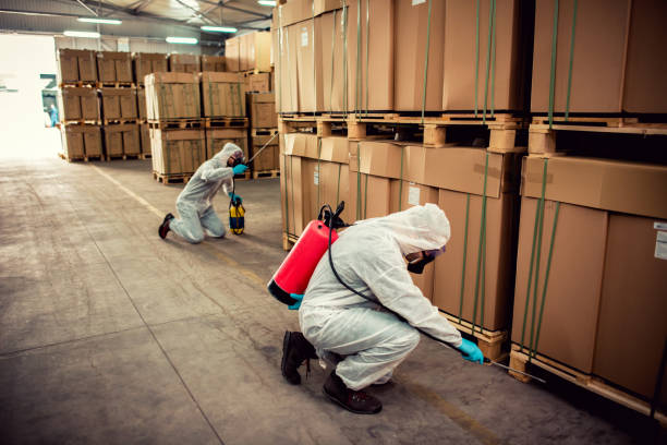 Reliable National Park, NJ Pest Control Solutions