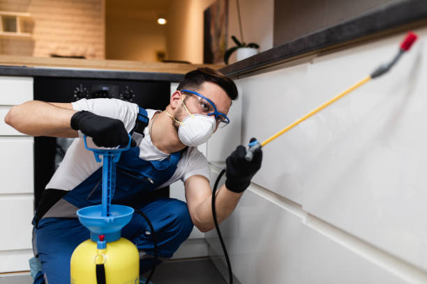 Best Best Pest Control Companies  in National Park, NJ