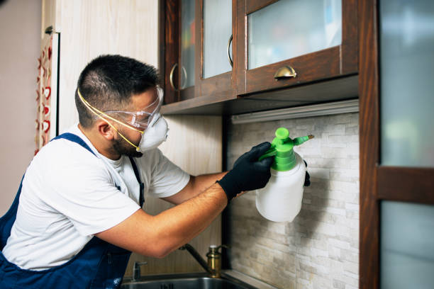 Best Pest Removal Services  in National Park, NJ