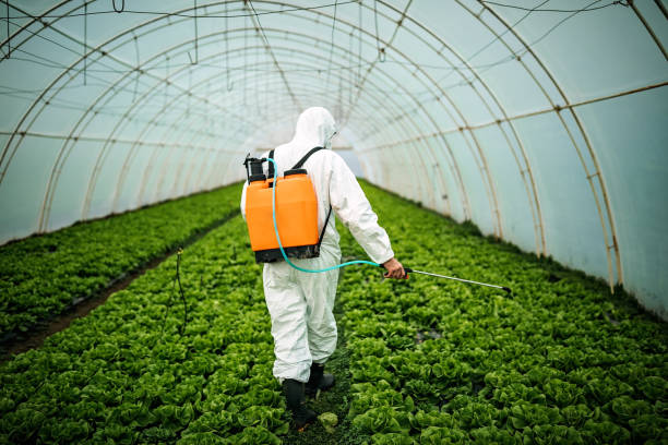 Best Affordable Pest Control Services  in National Park, NJ