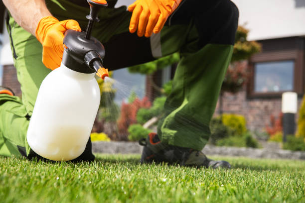 Best Cockroach Control Services  in National Park, NJ
