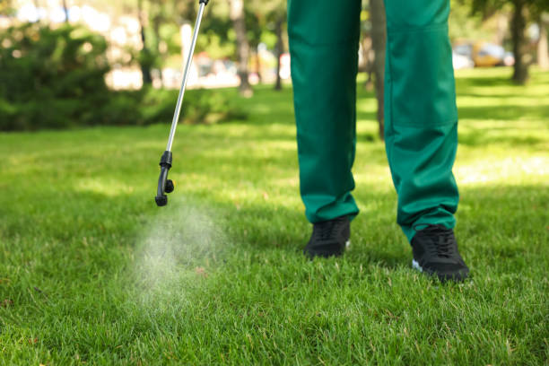 Best Rat Extermination Near Me  in National Park, NJ