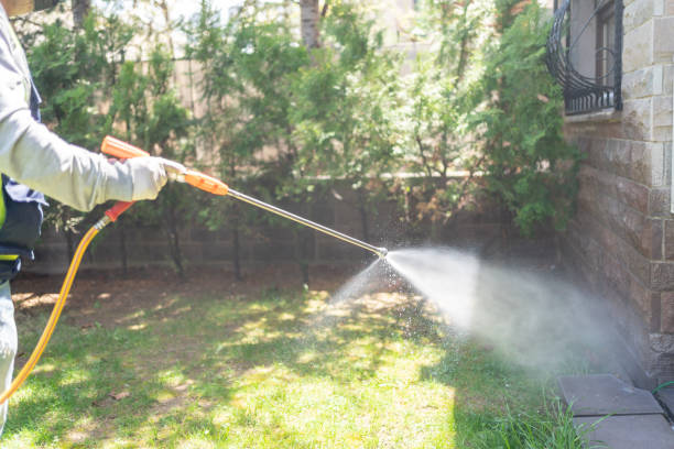 Best Mosquito Control Services  in National Park, NJ