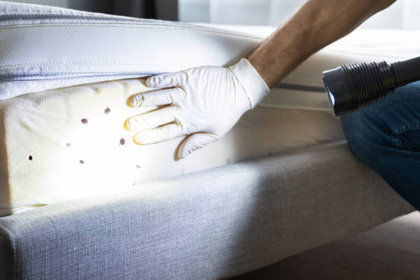 Best Best Pest Control Companies  in National Park, NJ