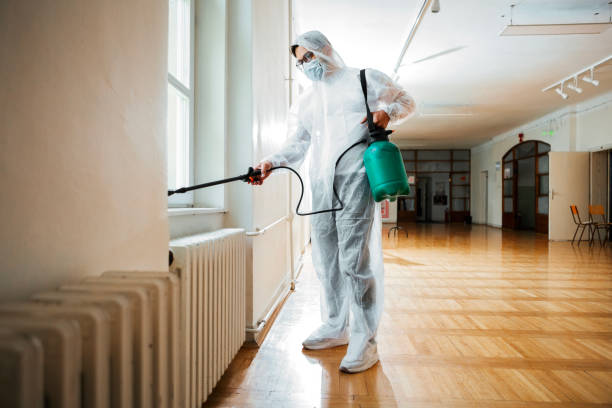 Best Flea Control Services  in National Park, NJ