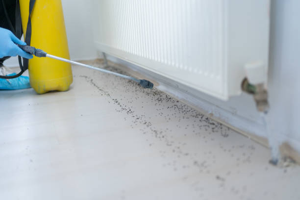 Best Residential Pest Control  in National Park, NJ